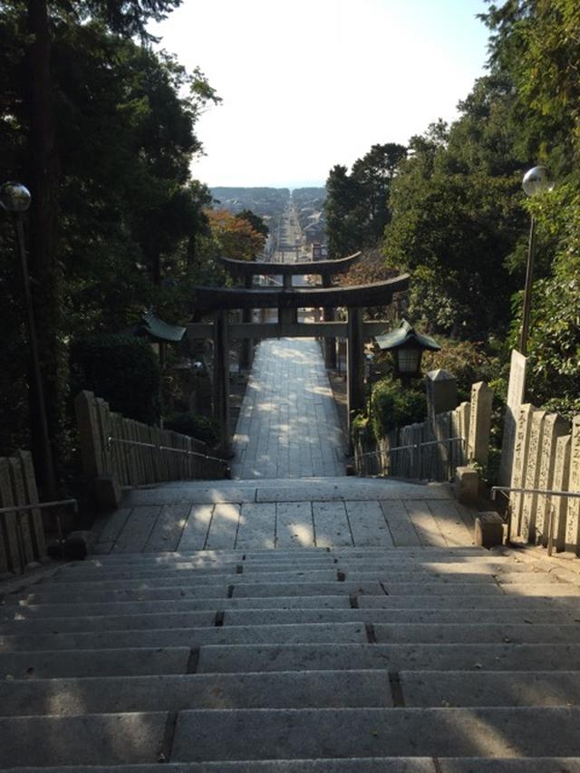 画像: 海まで一直線に伸びる参道(イメージ)