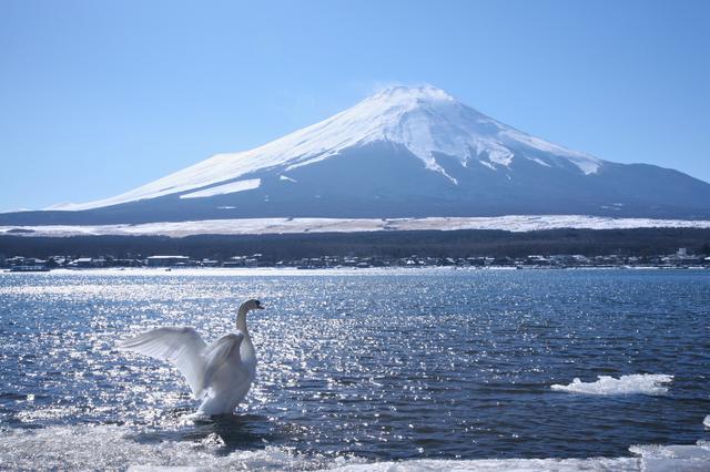 画像: 北東方面・山中湖からの富士(イメージ)