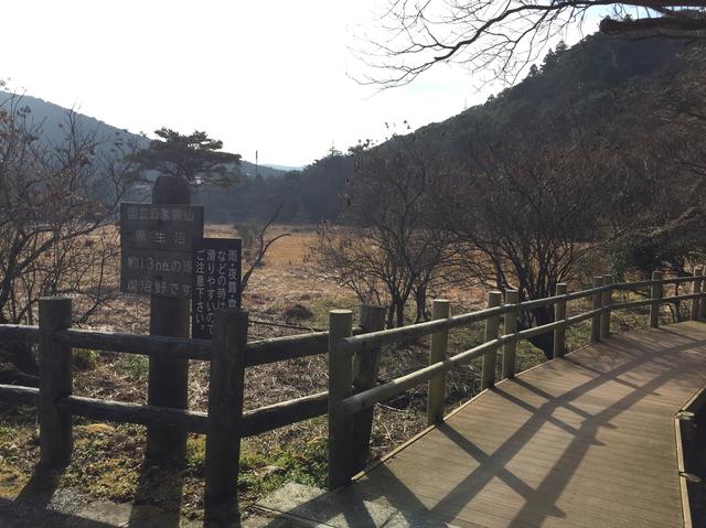 画像: 原生沼(スタッフ撮影)