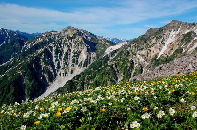画像: 白馬三山とお花畑(イメージ)