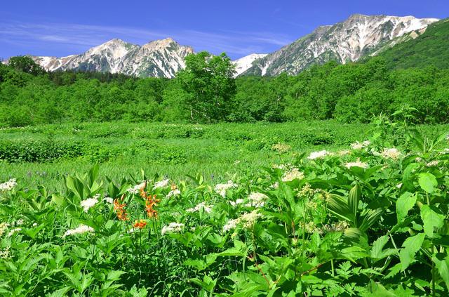 画像: 初日は栂池自然園の散策を楽しみます(イメージ)