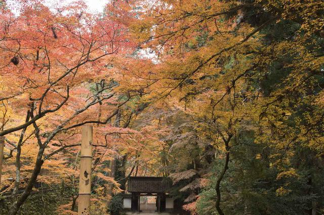 画像: 香積寺