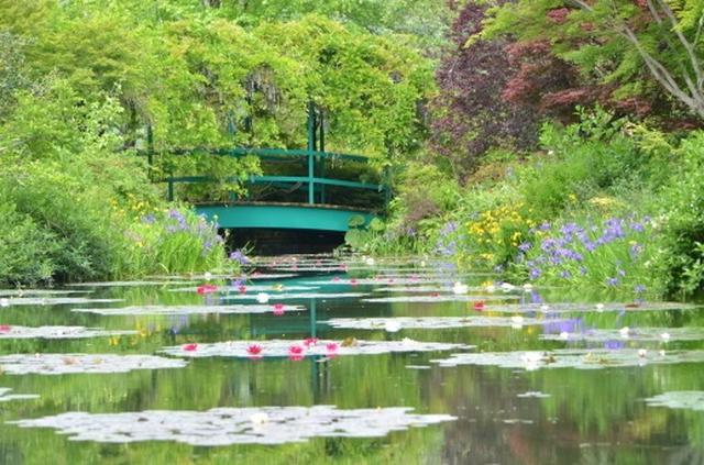 画像1: 写真提供:北川村 モネの庭マルモッタン