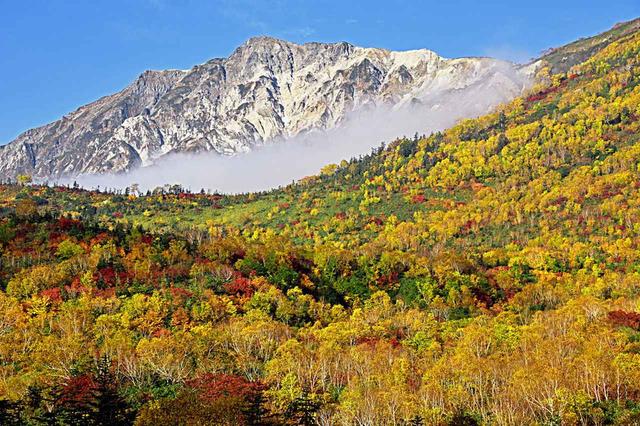 画像: 錦繍の栂池自然園から望む白馬岳(10月)
