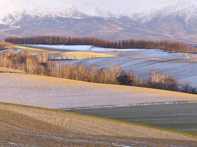 画像: 初冬の丘陵風景(撮影/高橋真澄)
