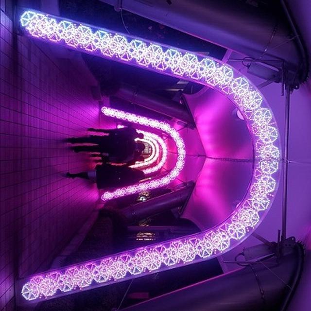 画像: スマートフォンで撮影