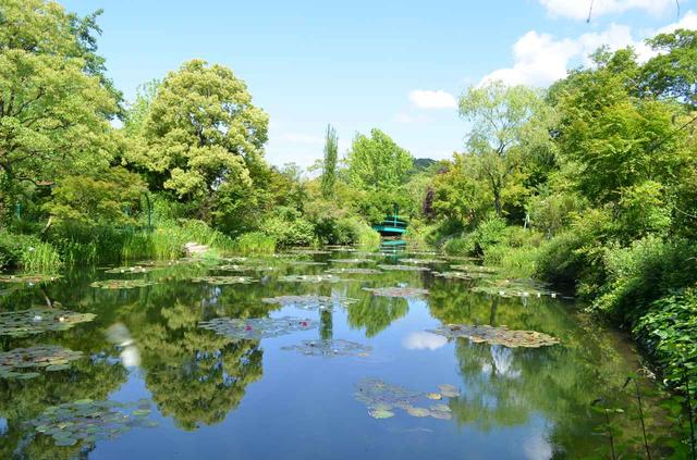 画像: モネの庭「水の庭」全景(イメージ)