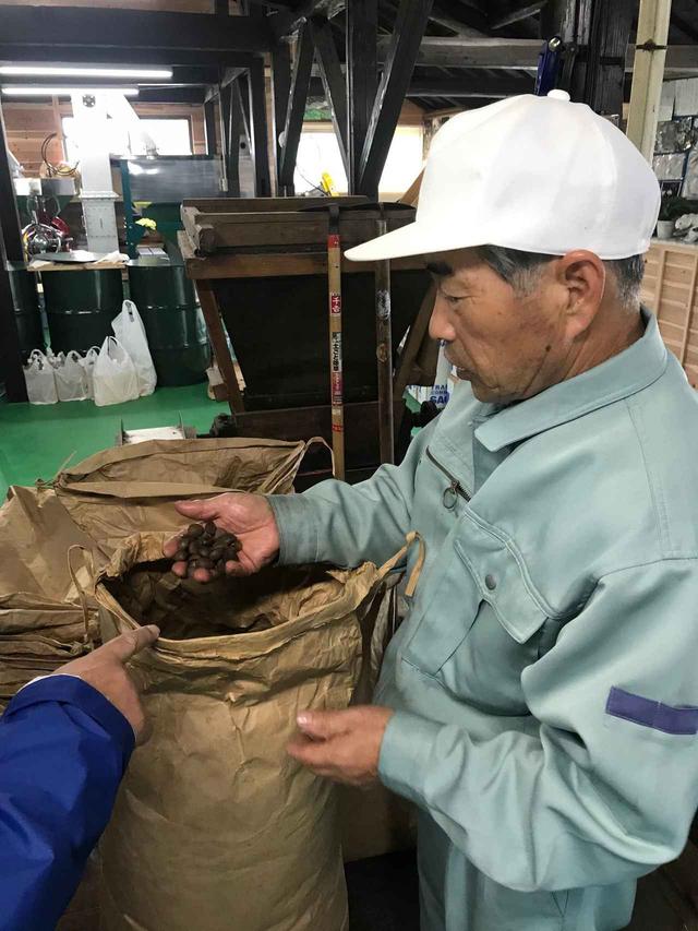 画像: 椿油工場を見学