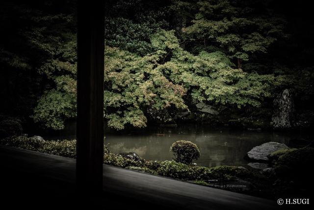 画像2: 杉山浩(すぎやま ひろし)先生(通称:すぎっち)のご紹介