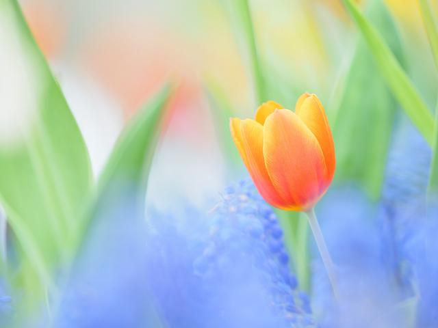 画像: OM-D E-M1 Mark Ⅱ M.ZUIKODIGITAL ED 40-150mm F2.8 PRO