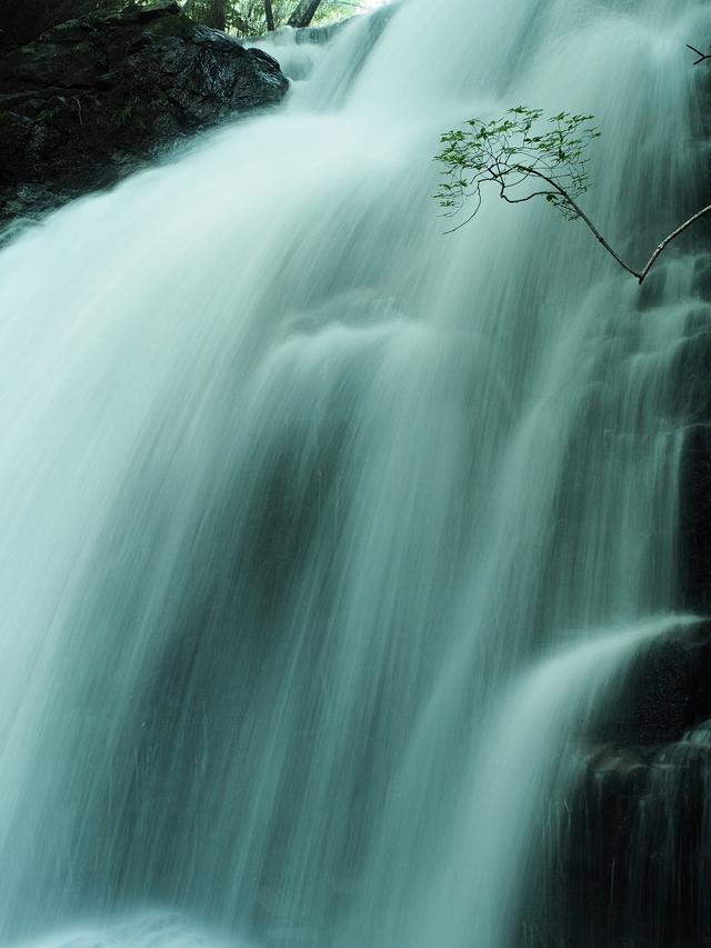 画像: OM-D E-M5 Mark Ⅱ M.ZUIKO DIGITAL ED 12-40mm F2.8 PRO