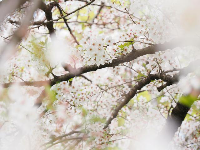 画像: OM-D E-M5 Mark III M.ZUIKO DIGITAL ED 12-45mm F4 PRO