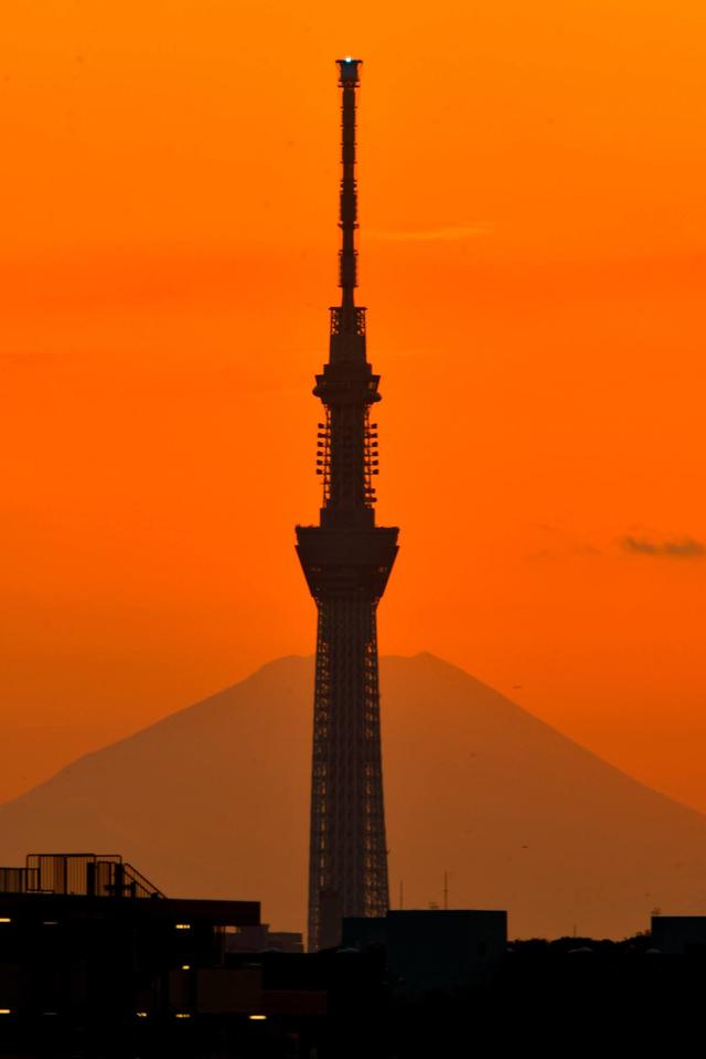 画像: 富士山と重なるスカイツリー(スタッフ撮影) Twitterではツアーの先行発表やスタッフが撮影した写真の紹介など、様々な情報を発信しております。 ↓下記URLより是非フォローしてご覧下さい!↓ twitter.com