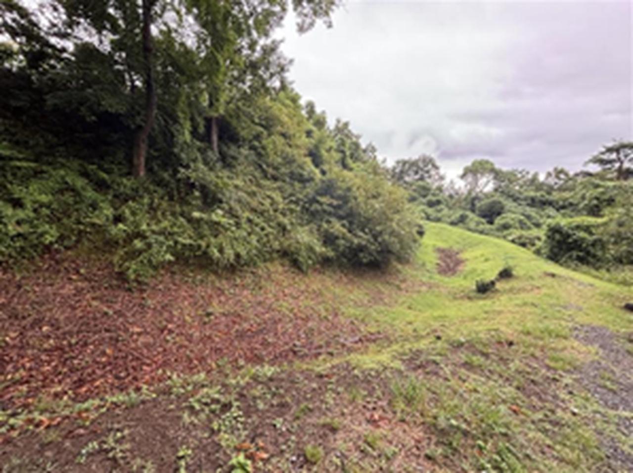 画像: 丸馬出と三日月堀 / 飯川ナビゲーター撮影