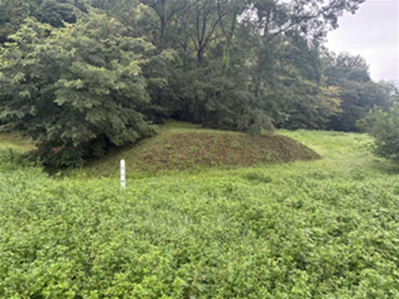 画像: 出構 / 飯川ナビゲーター撮影