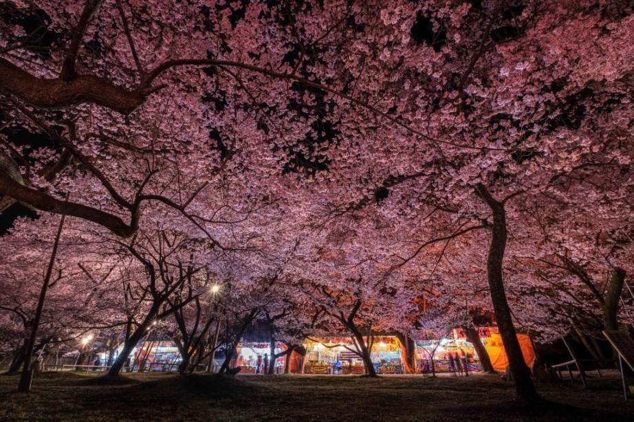画像: ＜写真撮影の旅＞『作品力が高まる！フィルターで撮る六道の堤と高遠城址公園の桜 特別公開！マルミ光機 長野工場見学ツアー』【岡谷駅集合】｜クラブツーリズム