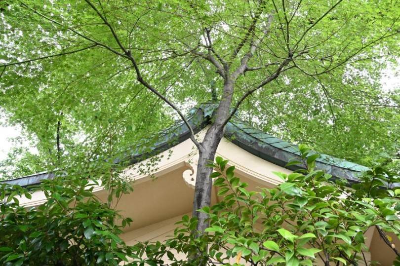 画像: ＜写真撮影の旅＞『酒井梨恵講師同行　魅力発見・山手線一周　街スナップ　駒込駅編』【JR山手線「駒込駅」改札口外集合】｜クラブツーリズム