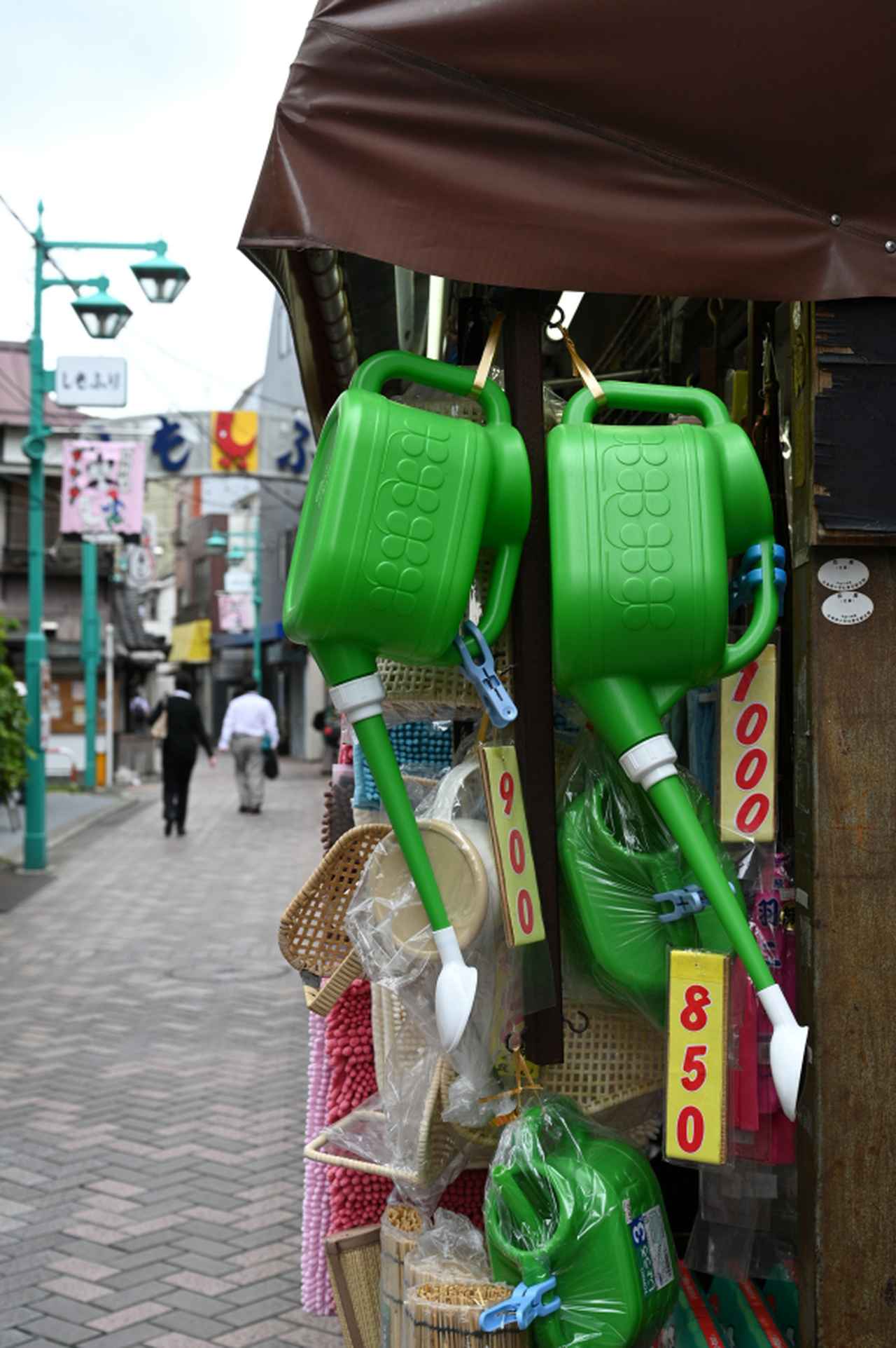 画像: 撮影/酒井梨恵
