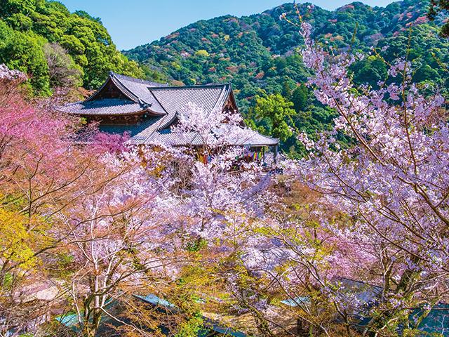 こころの旅】秩父三十四ヶ所 午年御開帳始まりました！＜社員添乗現地