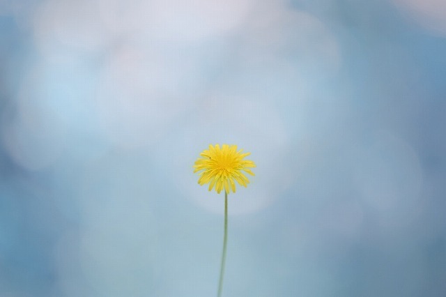 画像: 撮影/北村佑介