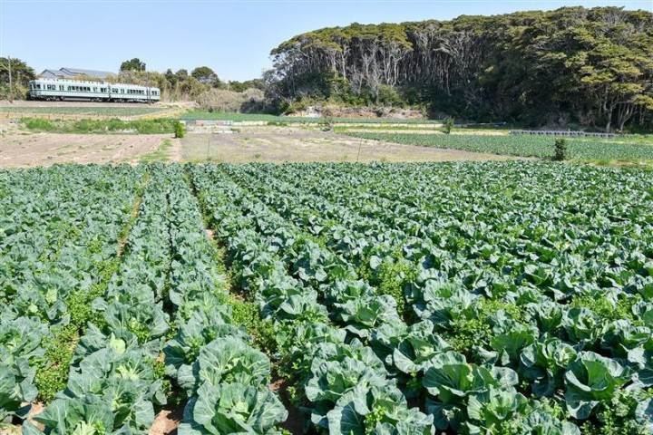 画像: ＜写真撮影の旅＞伊藤宏美講師同行　鉄橋を渡るJR鹿島線　ステンドグラスの本銚子駅舎　銚子電鉄沿線撮影｜クラブツーリズム