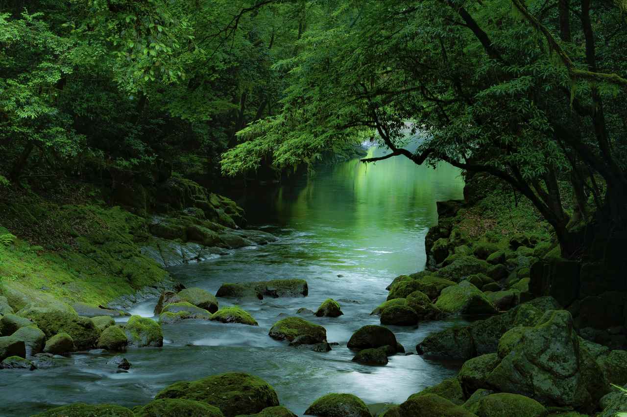 画像: 熊本・菊池渓谷　(撮影/井上嘉代子)