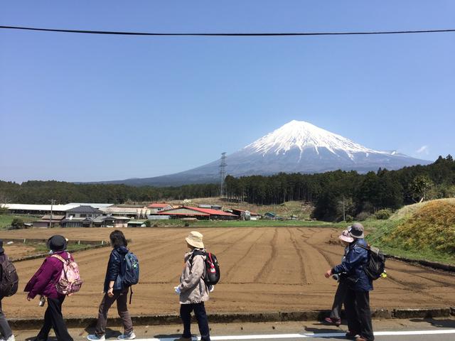 画像4: 富士山を感じながらのウォーキング♪