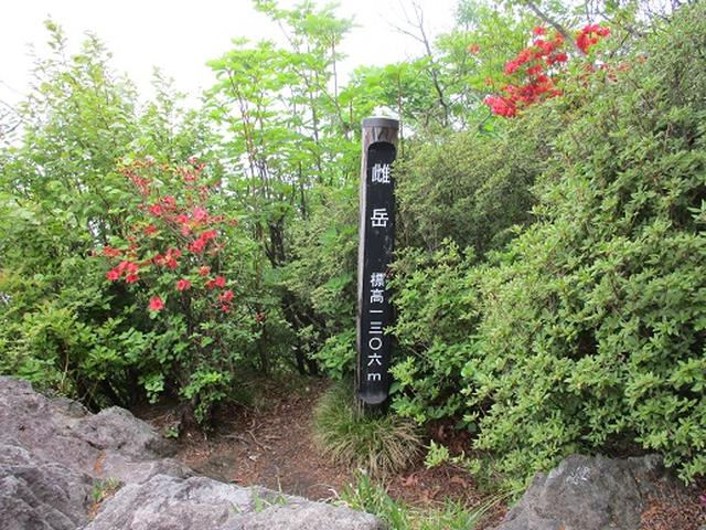 画像8: 【山旅会】榛名・二ツ岳