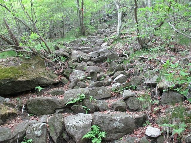 画像9: 【山旅会】榛名・二ツ岳