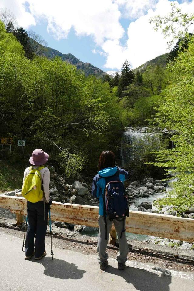 画像1: 次回おすすめのハイキングイベントは…こちら! チャンスは五年に1度! 初夏の駒ケ岳山麓「秘境しらび林道ウォーキング」日帰りツアーです。