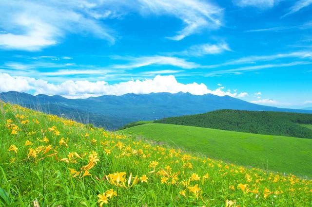 画像: 他、「雲上の散歩道 夏の爽やか車山・霧ヶ峰ハイキング」もございます