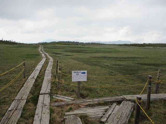 画像10: 【山旅会】帝釈山と田代山