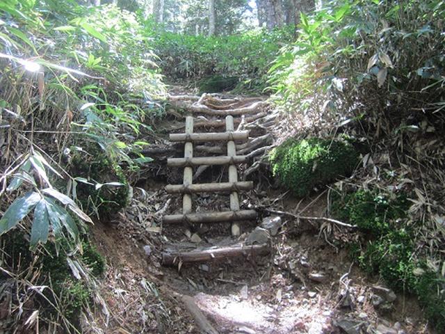 画像4: 【山旅会】蝶ヶ岳ツアーのご案内