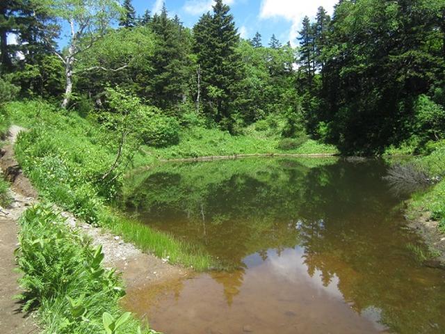 画像5: 【山旅会】蝶ヶ岳ツアーのご案内