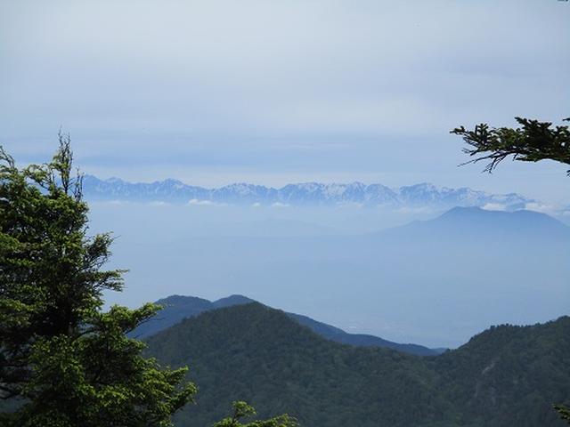 画像9: 【山旅会】志賀山の下見に行ってきました!