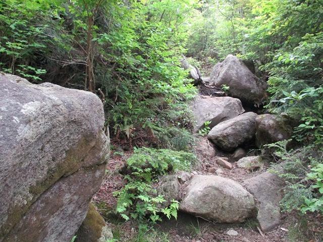 画像7: 【山旅会】志賀山の下見に行ってきました!
