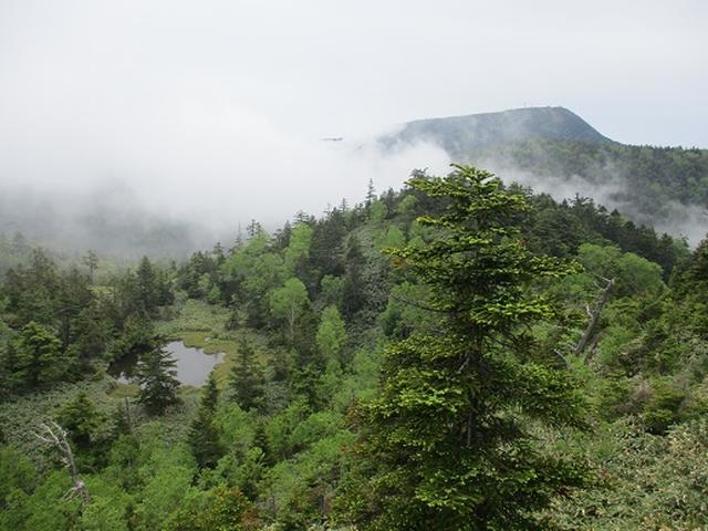 画像11: 【山旅会】志賀山の下見に行ってきました!