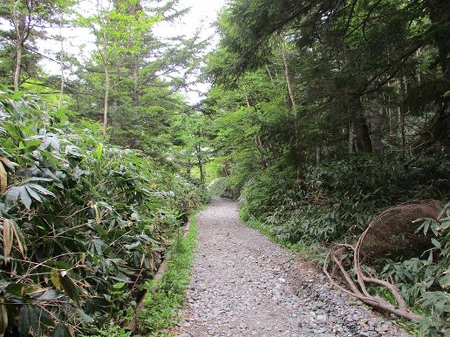 画像3: 【山旅会】志賀山の下見に行ってきました!