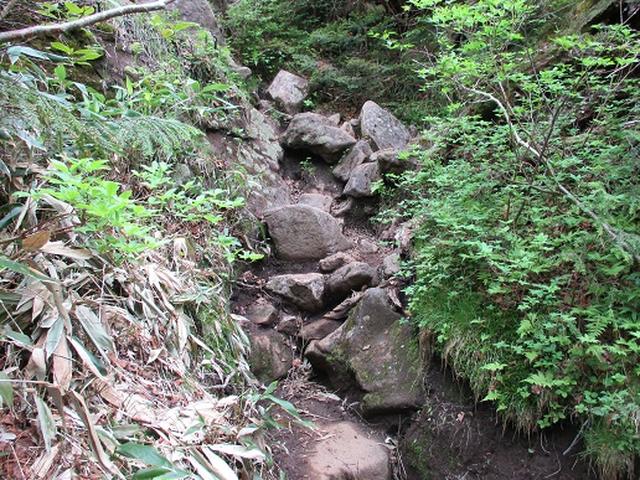画像6: 【山旅会】志賀山の下見に行ってきました!