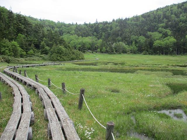 画像13: 【山旅会】志賀山の下見に行ってきました!