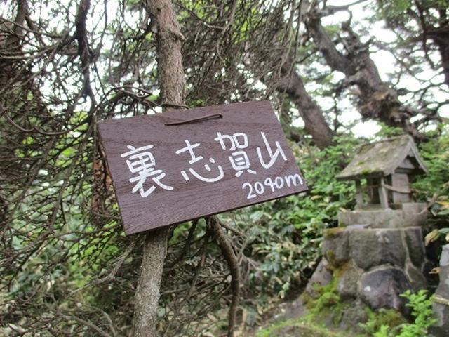 画像12: 【山旅会】志賀山の下見に行ってきました!