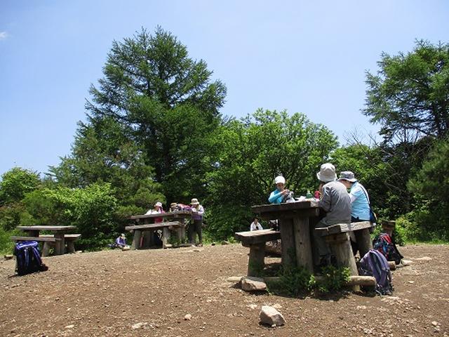 画像8: 【山旅会】天女山から美し森 添乗報告