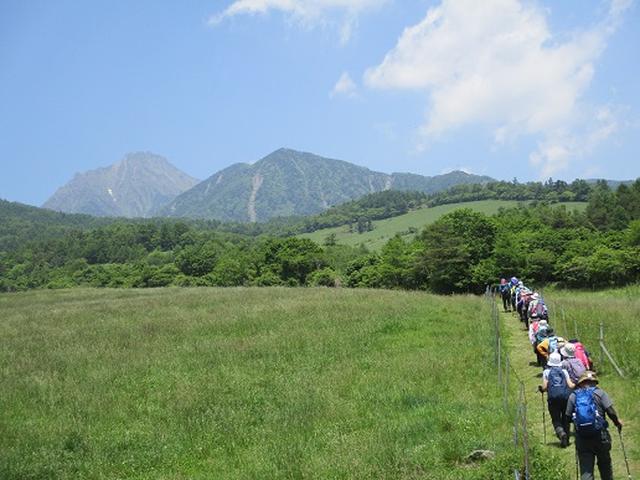 画像6: 【山旅会】天女山から美し森 添乗報告