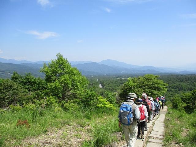 画像15: 【山旅会】天女山から美し森 添乗報告