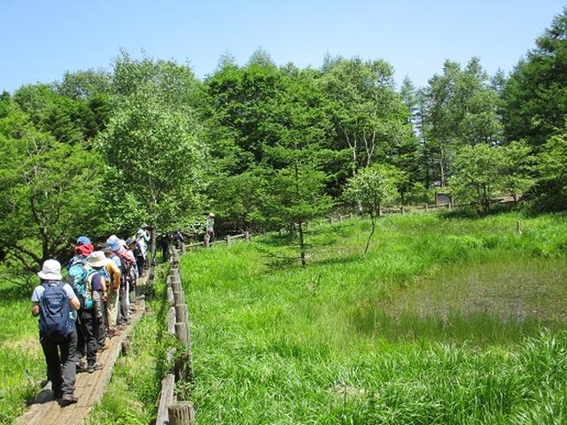 画像10: 【山旅会】天女山から美し森 添乗報告
