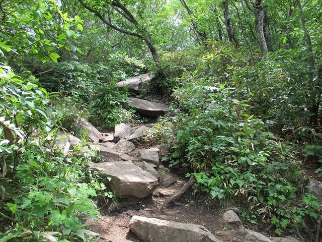 画像6: 【山旅会】姫神山へ下見に行ってきました!