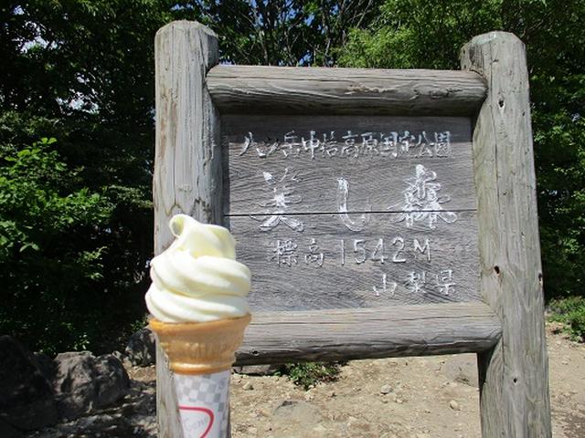 画像14: 【山旅会】天女山から美し森 添乗報告