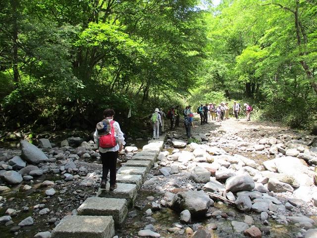 画像9: 【山旅会】天女山から美し森 添乗報告