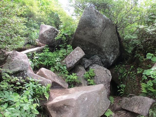 画像7: 【山旅会】姫神山へ下見に行ってきました!