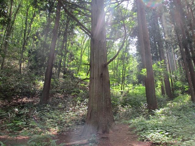 画像3: 【山旅会】姫神山へ下見に行ってきました!